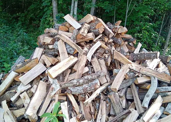 Feriehus Rooslepa Puhkemaja Tuksi